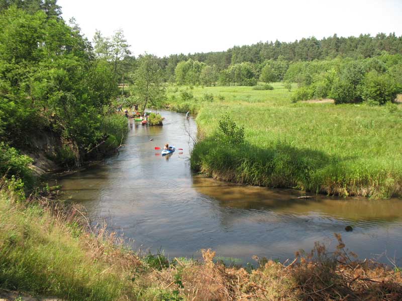 Spływy kajakowe