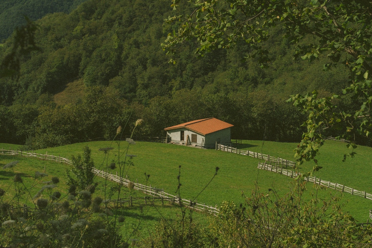 Top 5 szlaków turystycznych w okolicy